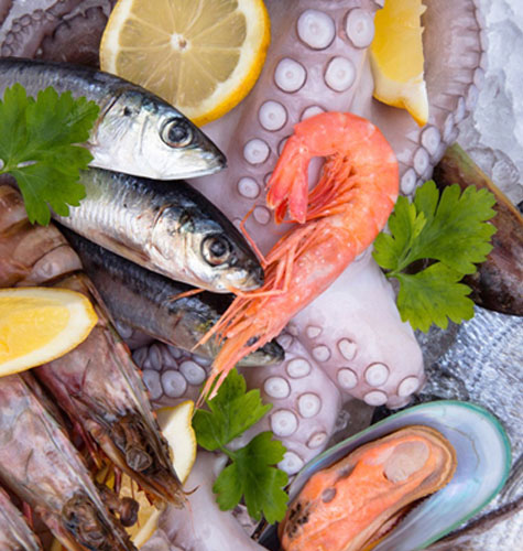 pesce
